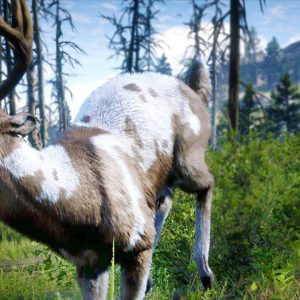 Red Dead Redemption 2